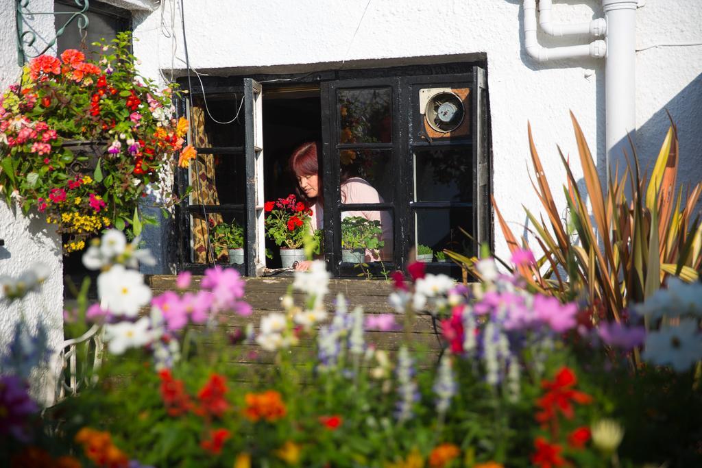 The Cott Inn Totnes Zewnętrze zdjęcie